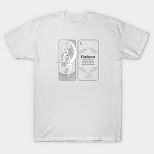 Meteorite Collector "Observed Fall: Patora" Meteorite T-Shirt